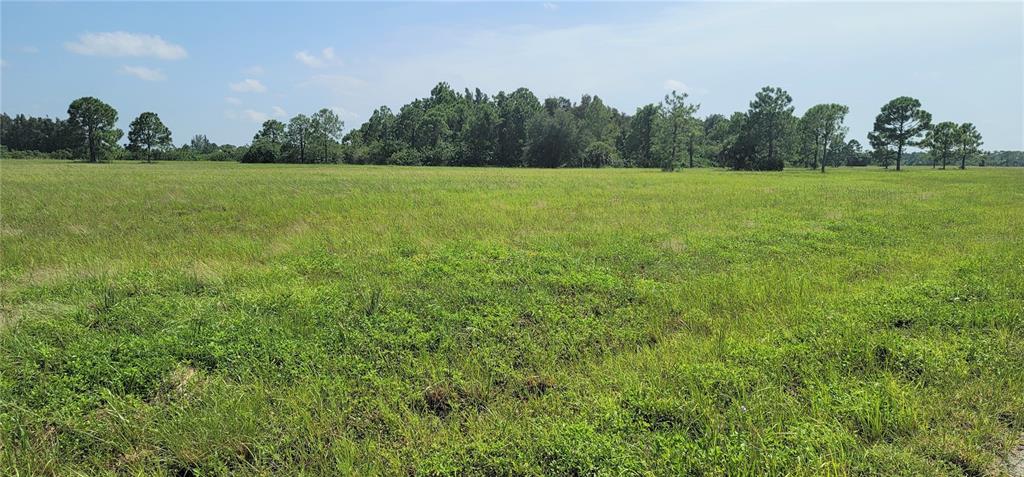 A wide, grassy field stretches toward a line of trees under a blue sky — 12098 & 12106 SALITPA COURT, PLACIDA, FL