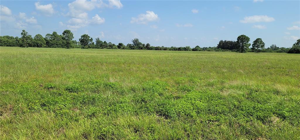 A wide, flat, grassy field under a blue sky with scattered clouds and distant trees — 12098 & 12106 SALITPA COURT, PLACIDA, FL