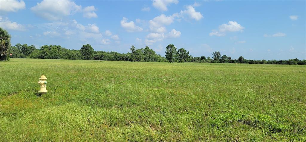 A yellow fire hydrant stands in a large, grassy, undeveloped field under a blue sky — 12098 & 12106 SALITPA COURT, PLACIDA, FL