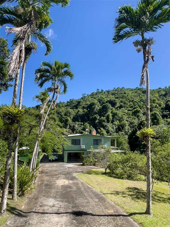 A two-story green house sits at the end of a driveway surrounded by palm trees — 38 COLINAS DE CUBUY, CANOVANAS, PR