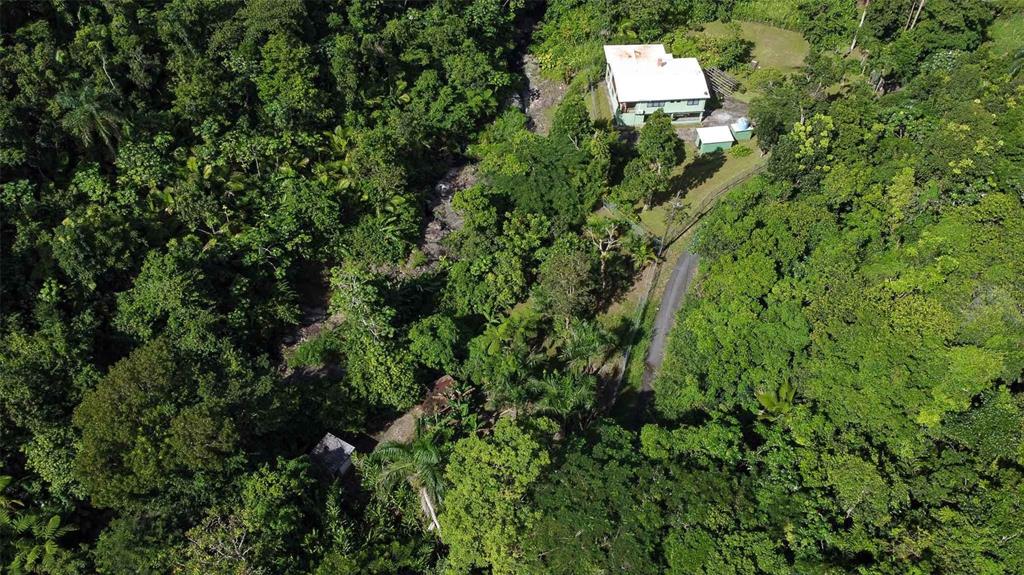An aerial view shows a house with a white roof surrounded by dense forest vegetation — 38 COLINAS DE CUBUY, CANOVANAS, PR