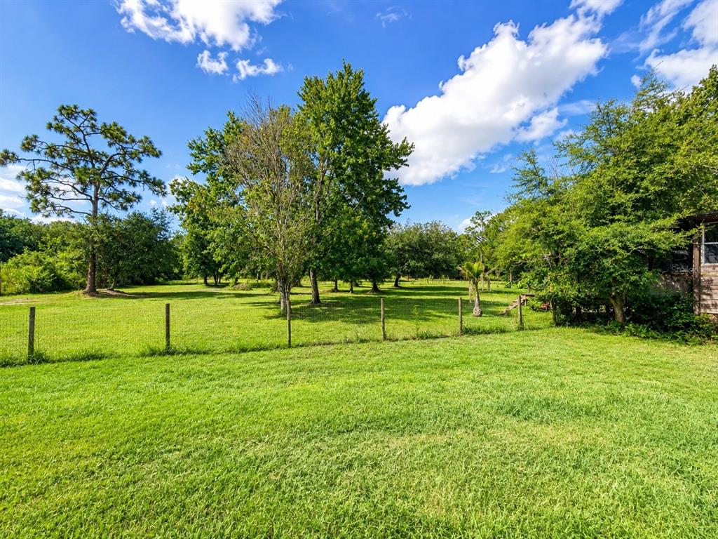 A grassy backyard features a wire fence, several mature trees, and a blue sky above — 5280 HAYWOOD RUFFIN ROAD, ST CLOUD, FL