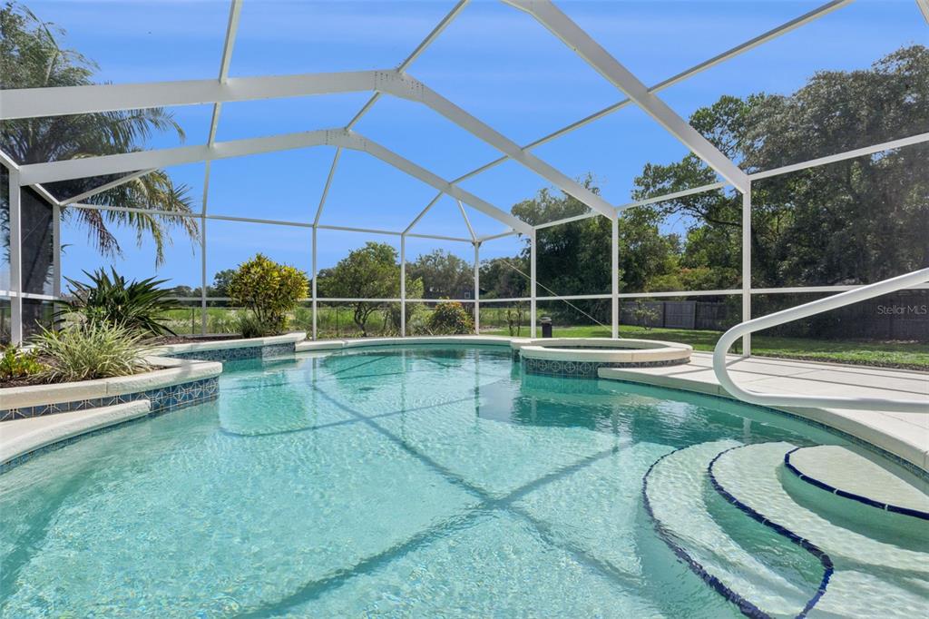 A screened-in swimming pool and hot tub are set against a backdrop of green trees — 3339 SLASH PINE DRIVE, LAKE WALES, FL