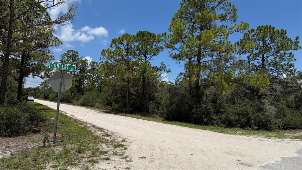 A dirt road intersection features a street sign and dense pine trees under a blue sky — 346 BLUE MOON AVE, LAKE PLACID, FL