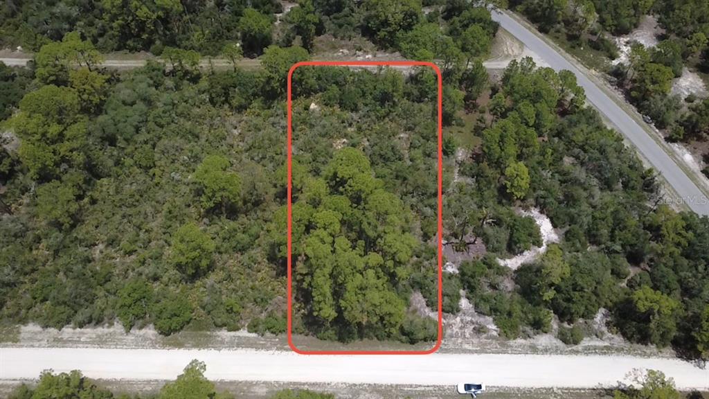 An aerial view shows a rectangular, wooded vacant lot outlined in red along a road — 346 BLUE MOON AVE, LAKE PLACID, FL