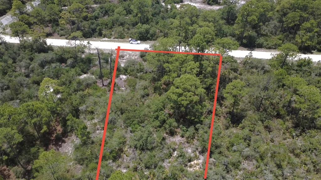 An aerial view shows a rectangular plot of land outlined in red near a road — 346 BLUE MOON AVE, LAKE PLACID, FL
