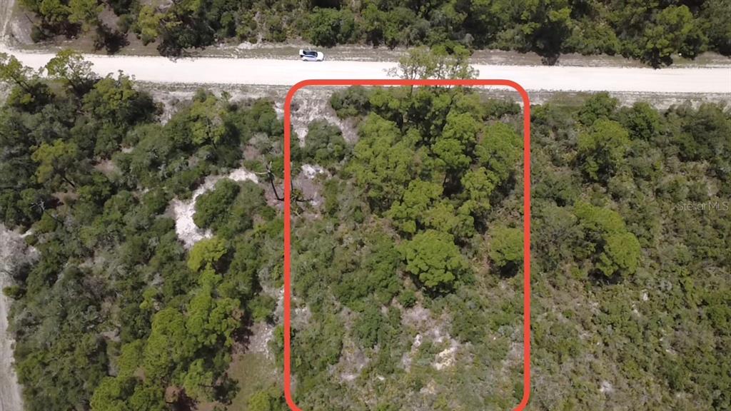 An aerial view shows a rectangular plot of wooded land bordering a dirt road — 346 BLUE MOON AVE, LAKE PLACID, FL