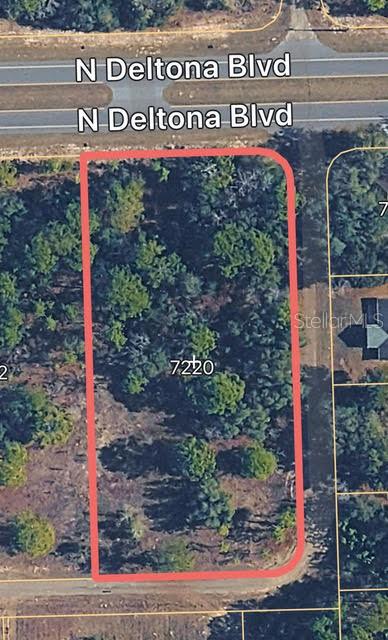 This aerial map shows a rectangular, wooded vacant lot outlined in red near a road — 7220 N DELTONA BOULEVARD, CITRUS SPRINGS, FL