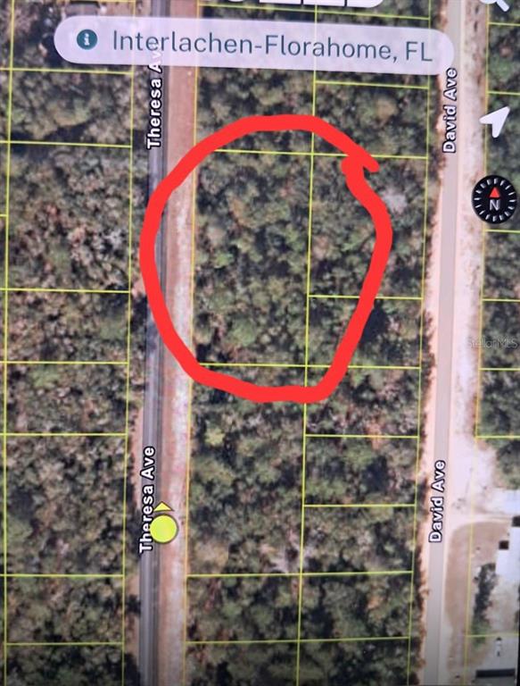 This is a satellite map view showing a wooded, rectangular plot of land for sale — TBD TBD, INTERLACHEN, FL
