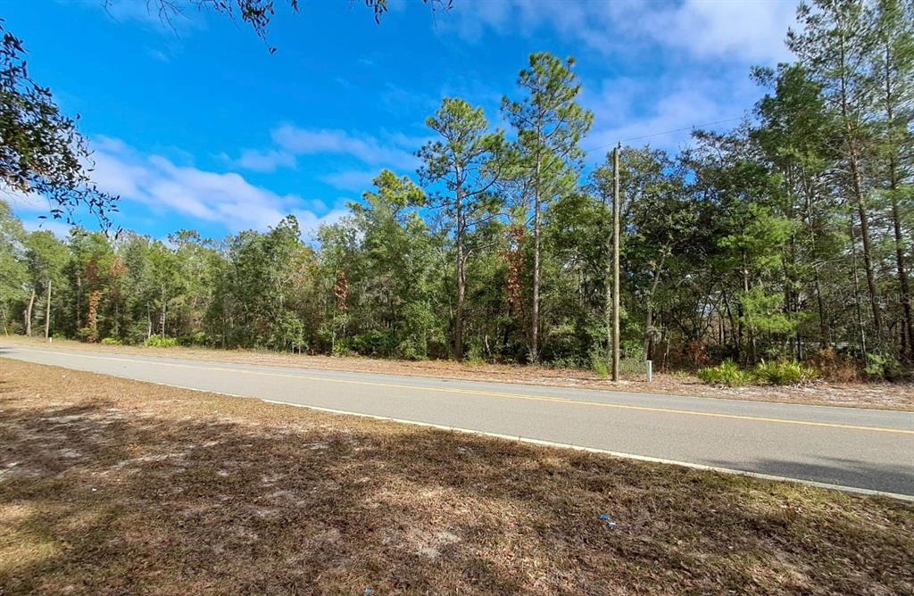 A paved road runs alongside a wooded lot under a blue sky with scattered clouds — TBD TBD, INTERLACHEN, FL