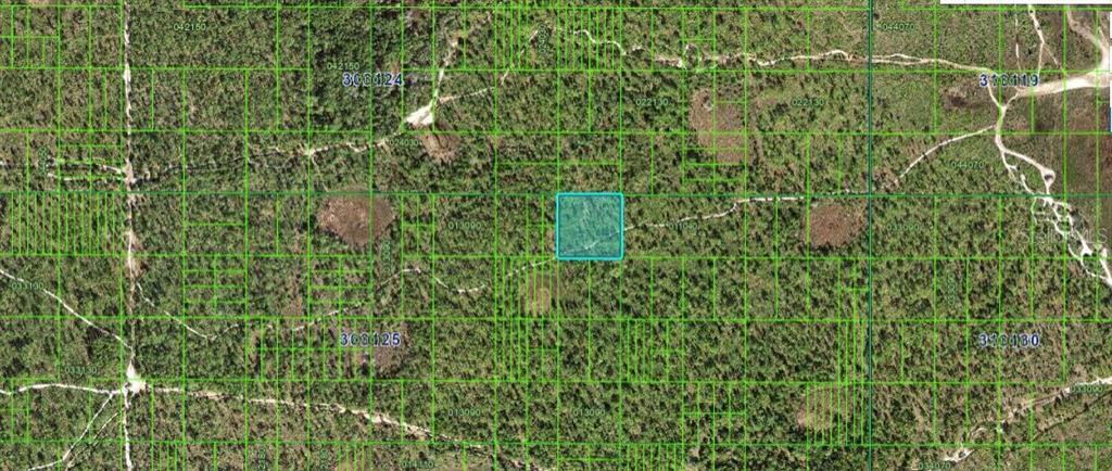 N/A, FROSTPROOF, FL — photo 3 of 3