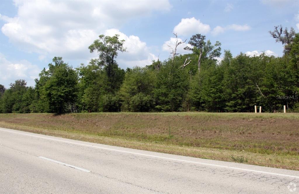 A paved road runs alongside a grassy embankment leading to a dense wooded area — TBD CORTEZ BOULEVARD, BROOKSVILLE, FL