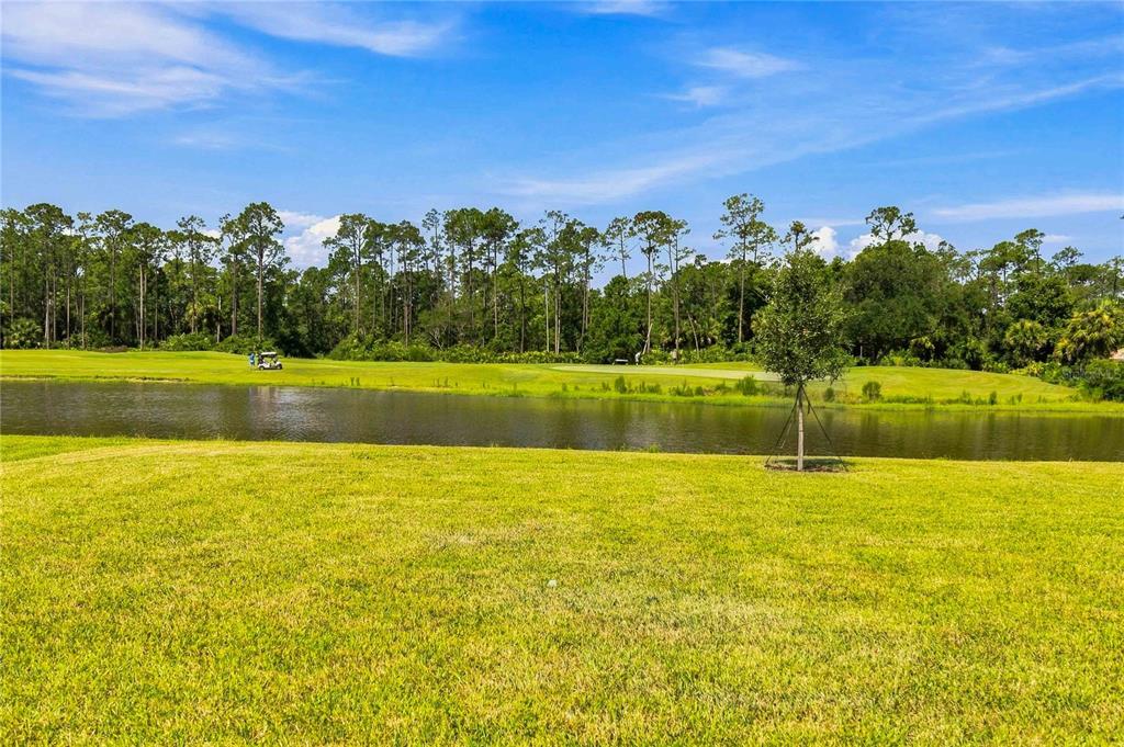 A grassy lawn overlooks a pond with a golf course and trees in the background — 1041 CHAMPION RDG DRIVE, DAYTONA BEACH, FL