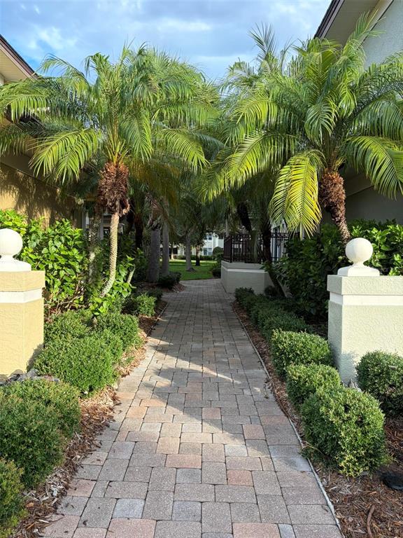 A paved walkway leads between two palm trees toward a grassy area between buildings — 6536 MOORINGS POINT CIRCLE UNIT 101, LAKEWOOD RANCH, FL