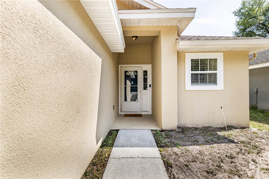 A concrete walkway leads to the front entrance of a beige stucco house — 31080 LOCHMORE CIRCLE, SORRENTO, FL