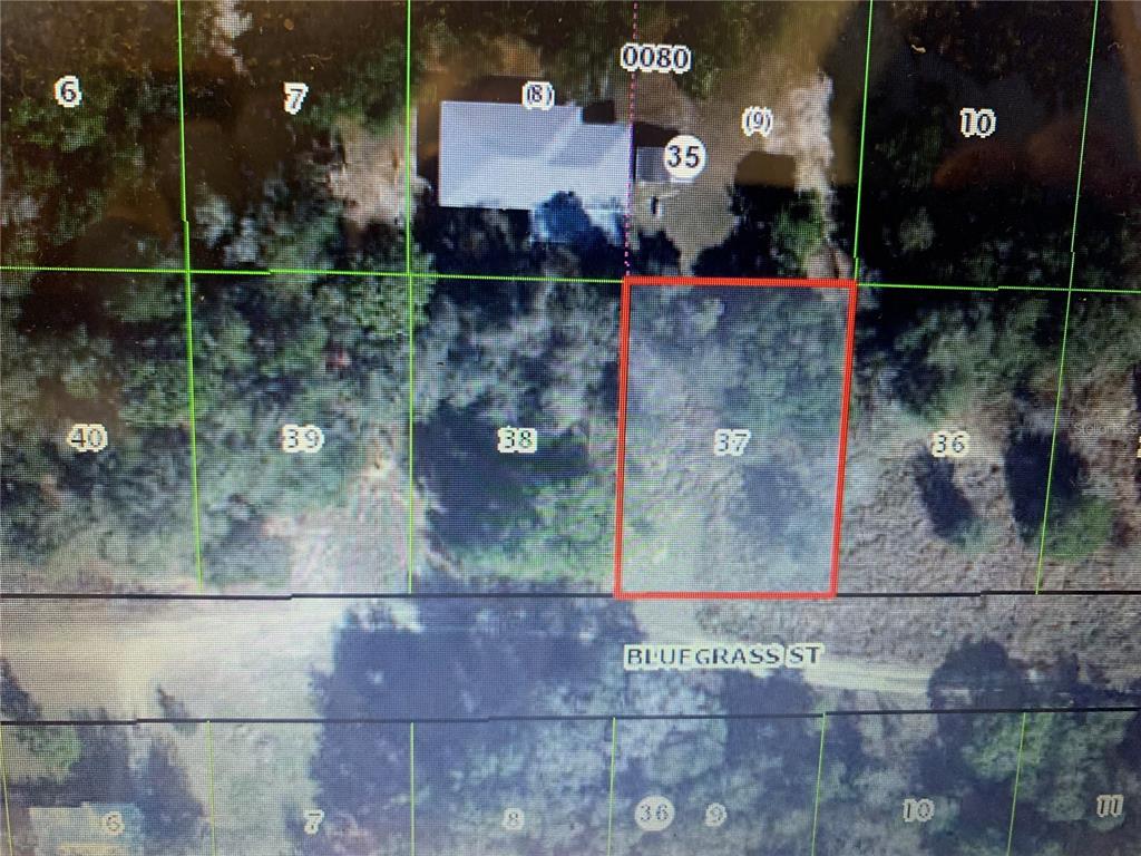 This is a satellite map showing a highlighted rectangular land parcel on Bluegrass Street — 2408 BLUEGRASS STREET, INVERNESS, FL