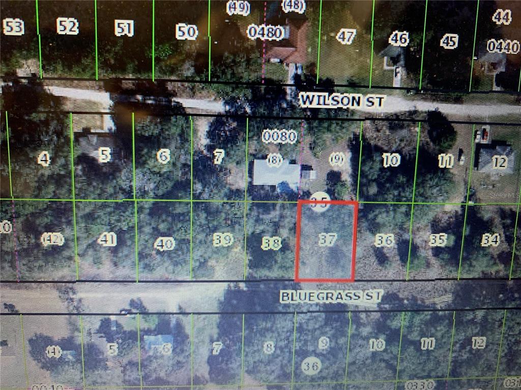 This is a satellite map showing a highlighted rectangular land parcel between two streets — 2408 BLUEGRASS STREET, INVERNESS, FL