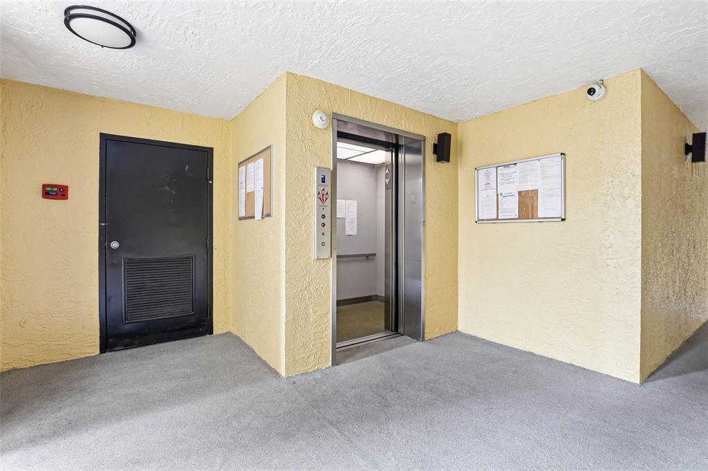 An elevator lobby features yellow textured walls, a black door, and two bulletin boards — 2424 W TAMPA BAY BOULEVARD UNIT M404, TAMPA, FL