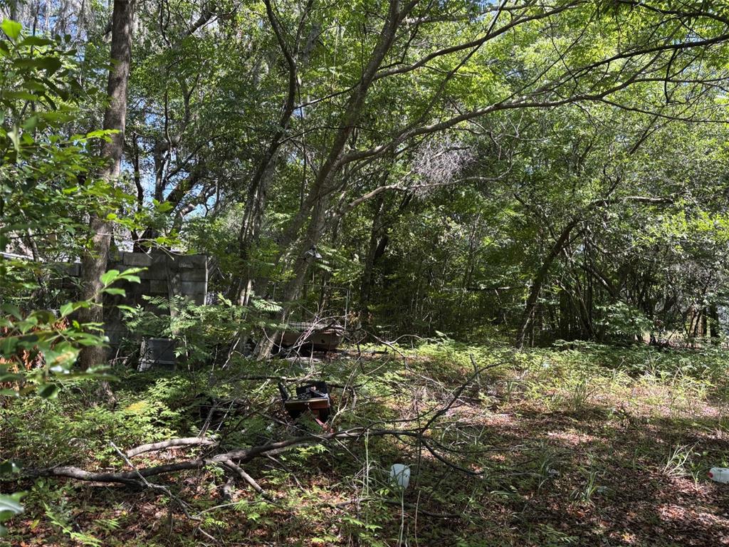 A wooded lot features a small concrete block structure and scattered debris among the trees — 12506 WALTON AVENUE, NEW PORT RICHEY, FL