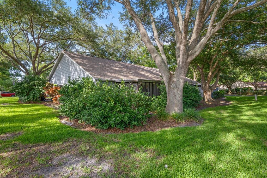 A single-story house with a shingled roof is surrounded by large trees and green landscaping — 2668 BENTLEY DRIVE, PALM HARBOR, FL
