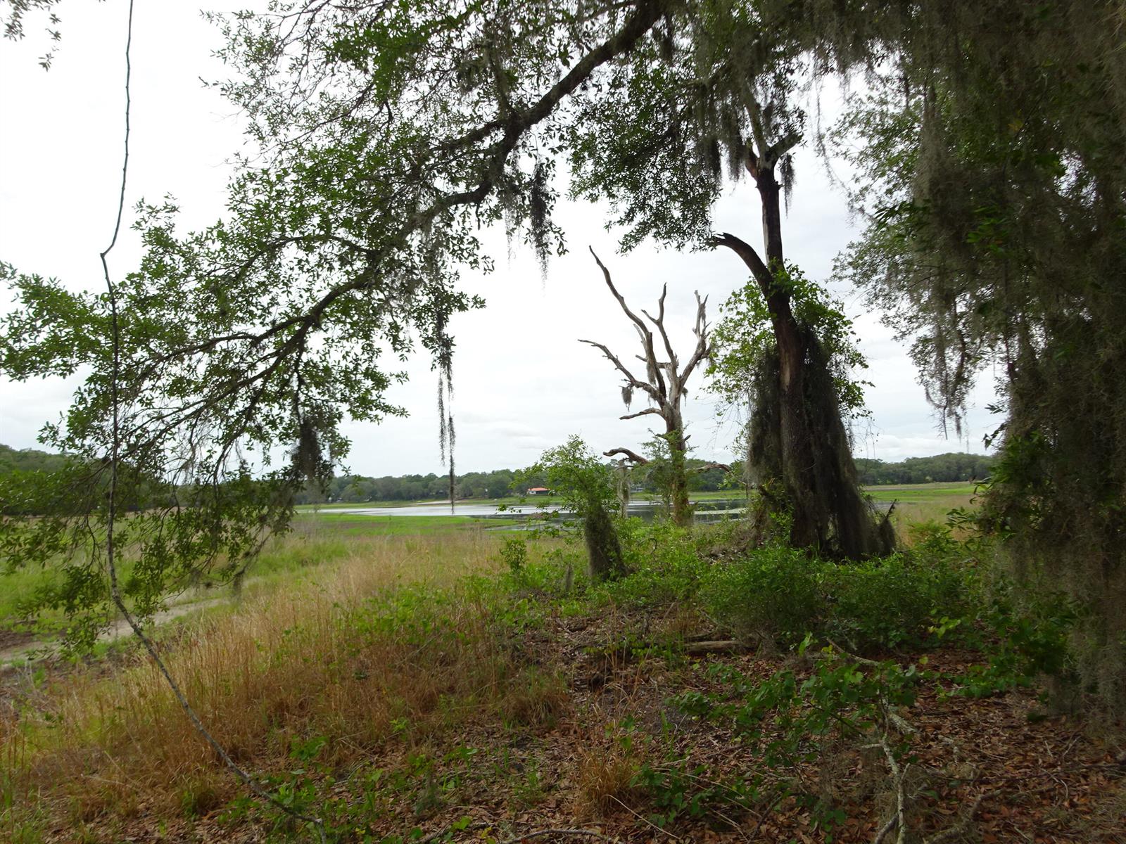 2208 SW Shorewood Drive, FL 34431
