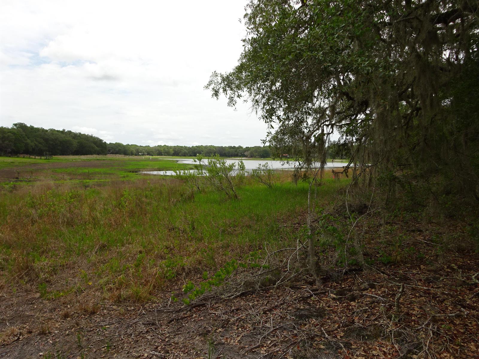 A grassy field leads to a small lake framed by trees with hanging moss — 2208 SW Shorewood Drive, FL 34431, FL