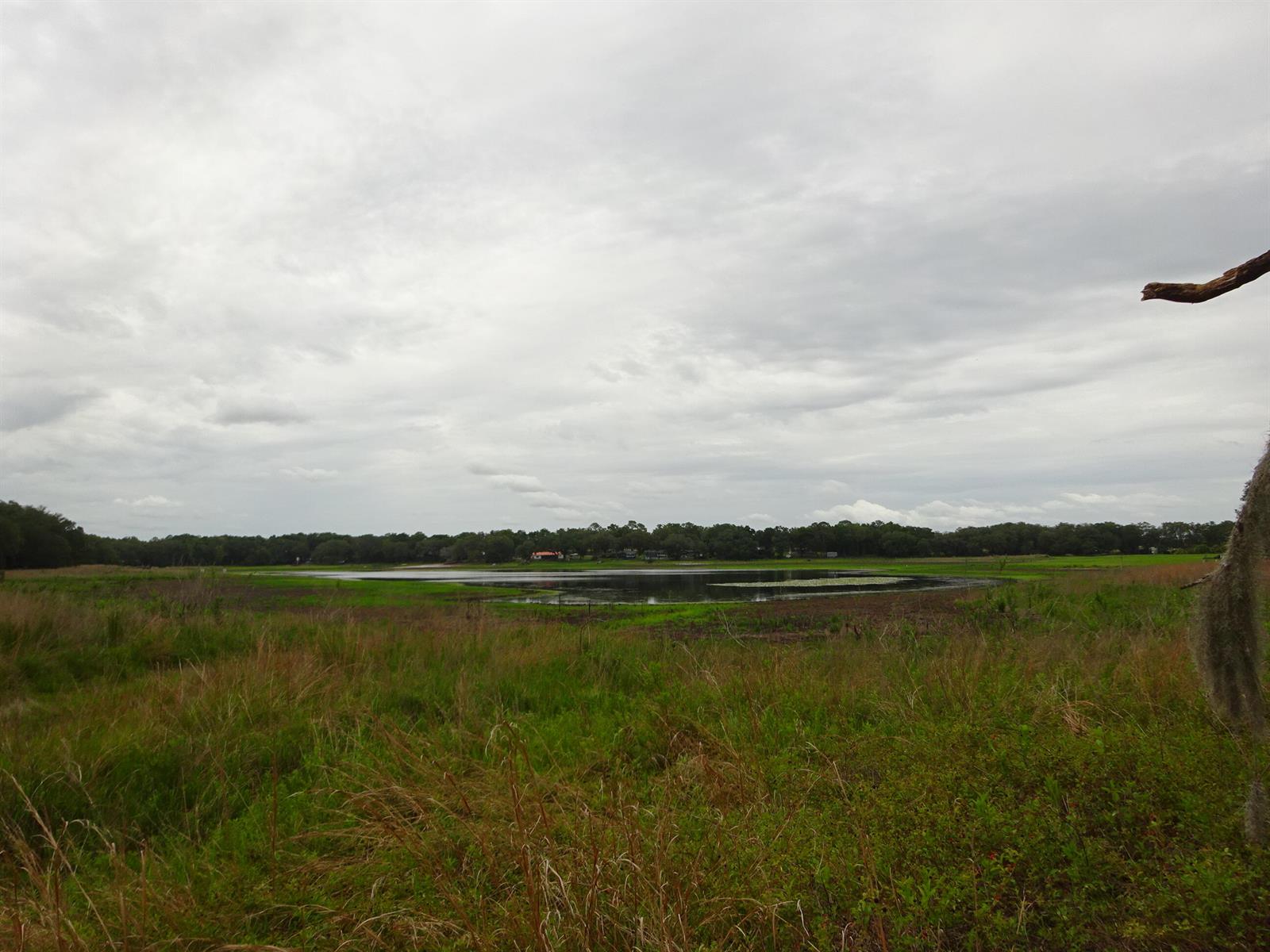 A wide view of a grassy field leading to a small lake under cloudy skies — 2208 SW Shorewood Drive, FL 34431, FL