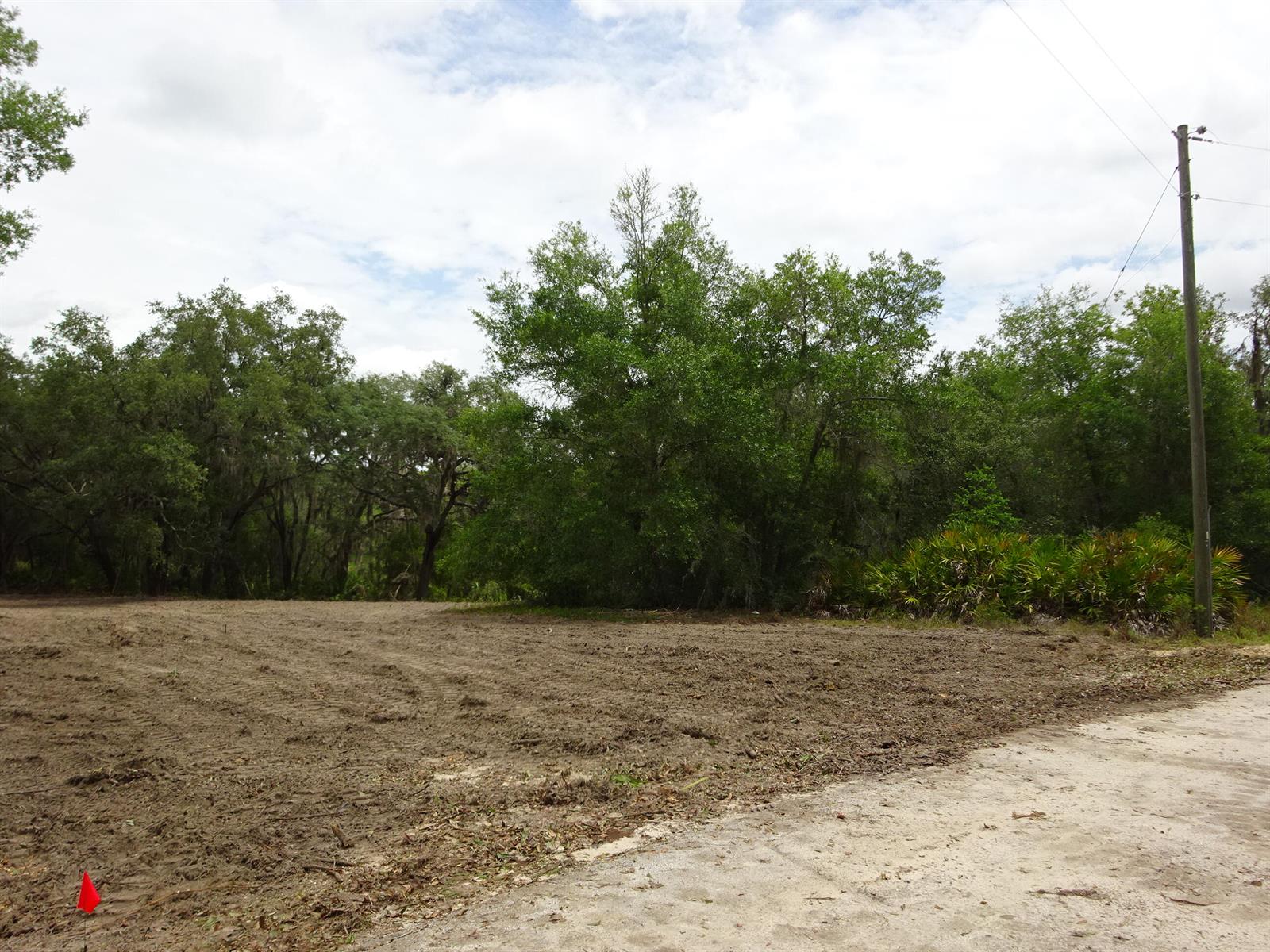 A cleared, dirt-covered lot is bordered by trees and a utility pole — 2208 SW Shorewood Drive, FL 34431, FL