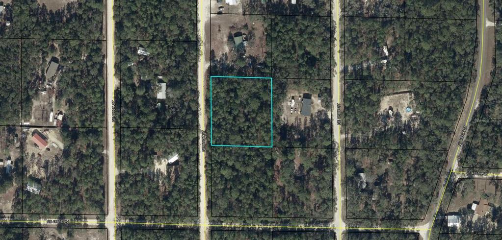 This aerial map shows a rectangular, wooded vacant lot outlined in blue between two roads — NE 821ST STREET, OLD TOWN, FL