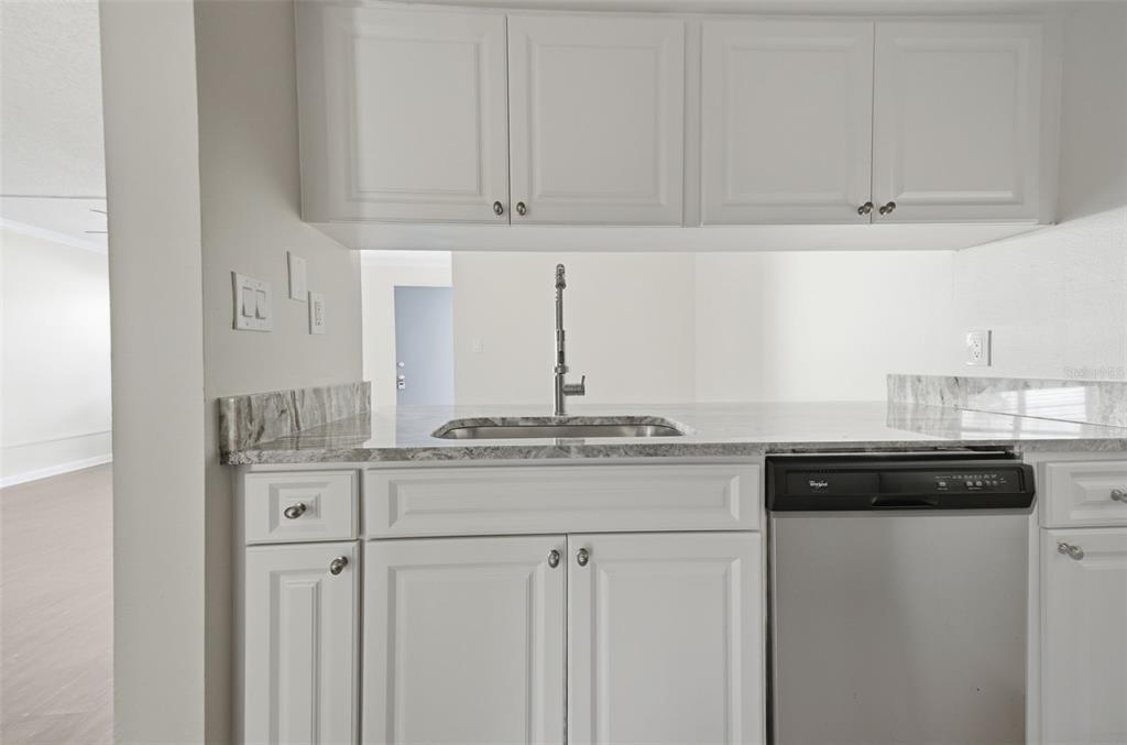 A kitchen sink area features white cabinets, a stainless steel dishwasher, and granite countertops — 3102 W HORATIO STREET UNIT 12, TAMPA, FL