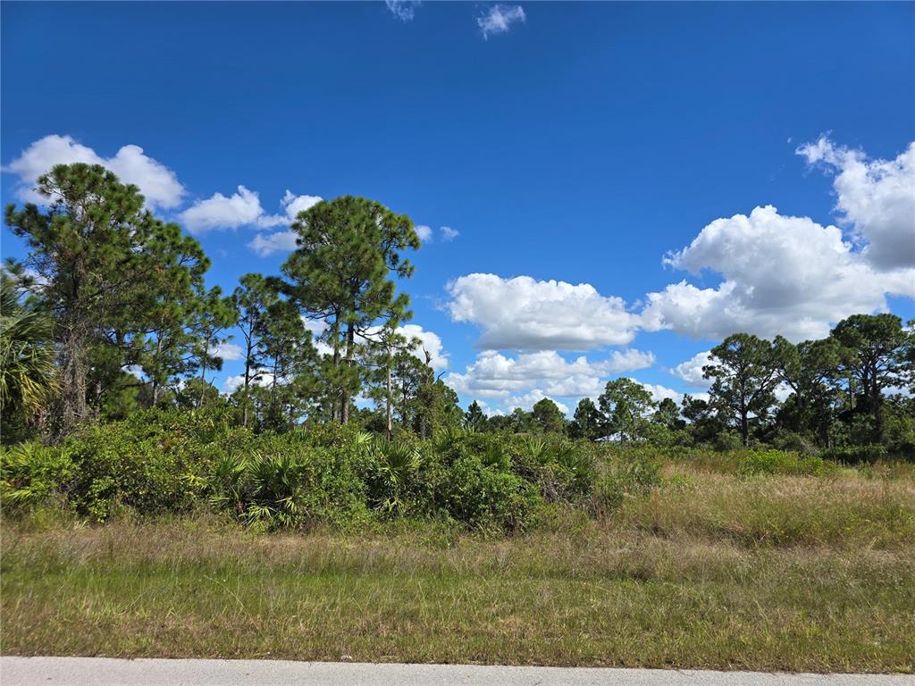 A grassy, undeveloped lot features scattered pine trees and low-lying shrubs under a blue sky — 1034 DEARBORN STREET, LEHIGH ACRES, FL