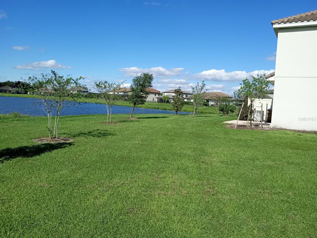 A grassy backyard overlooks a pond with several young trees and neighboring houses in view — 3604 LANDING NET DRIVE, KISSIMMEE, FL