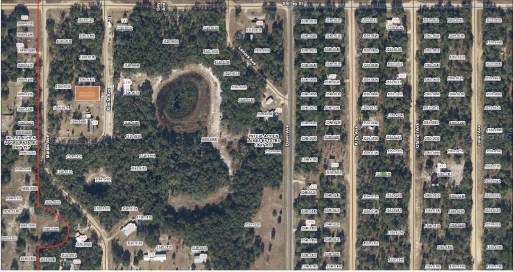 TBD SHEILA AVENUE, INTERLACHEN, FL — photo 3 of 3