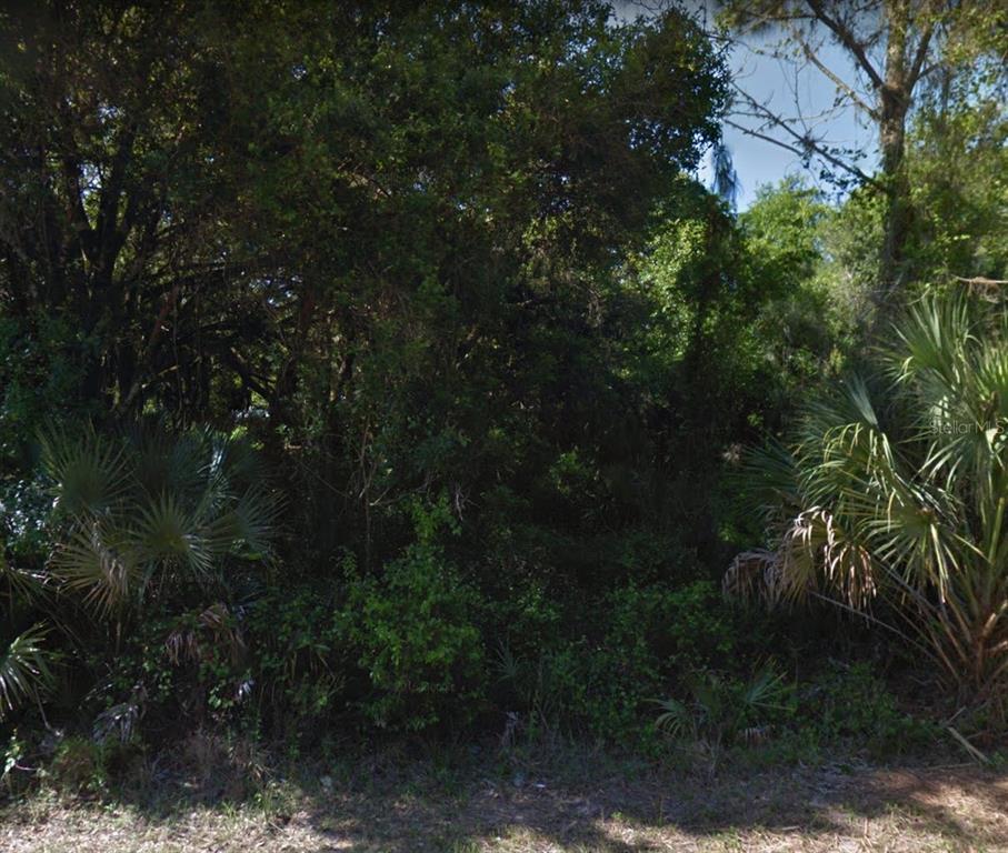 A dense, wooded lot with various trees and palmetto plants under a clear blue sky — 18113 LUSCAR AVENUE, PORT CHARLOTTE, FL