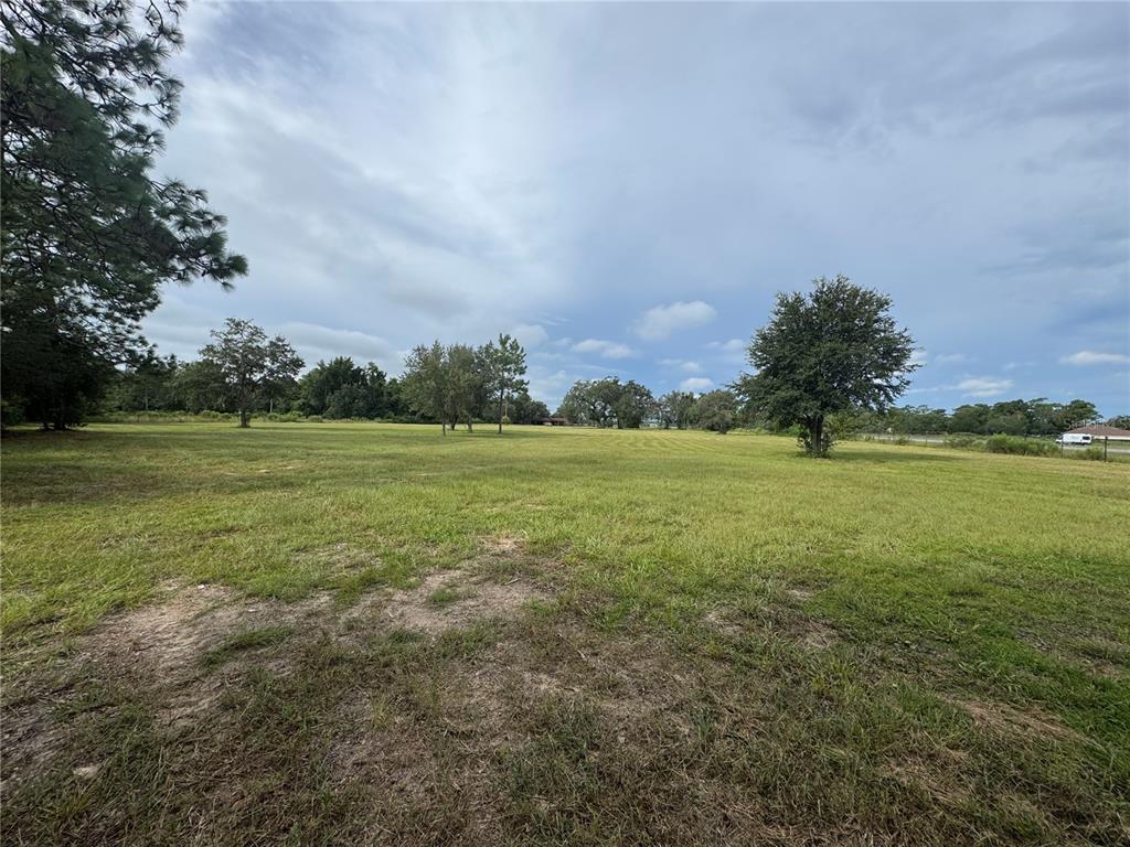 17349 FORGE DRIVE, SPRING HILL, FL — photo 4 of 6