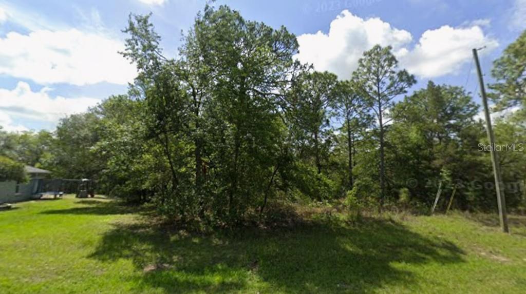 A grassy lot features a dense cluster of trees and a utility pole — 5709 N DECARLO DRIVE, CITRUS SPRINGS, FL