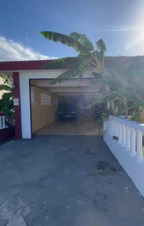 A concrete driveway leads to a covered carport with a banana tree in the foreground — 507 VICENTA ARROYO, MANATI, PR