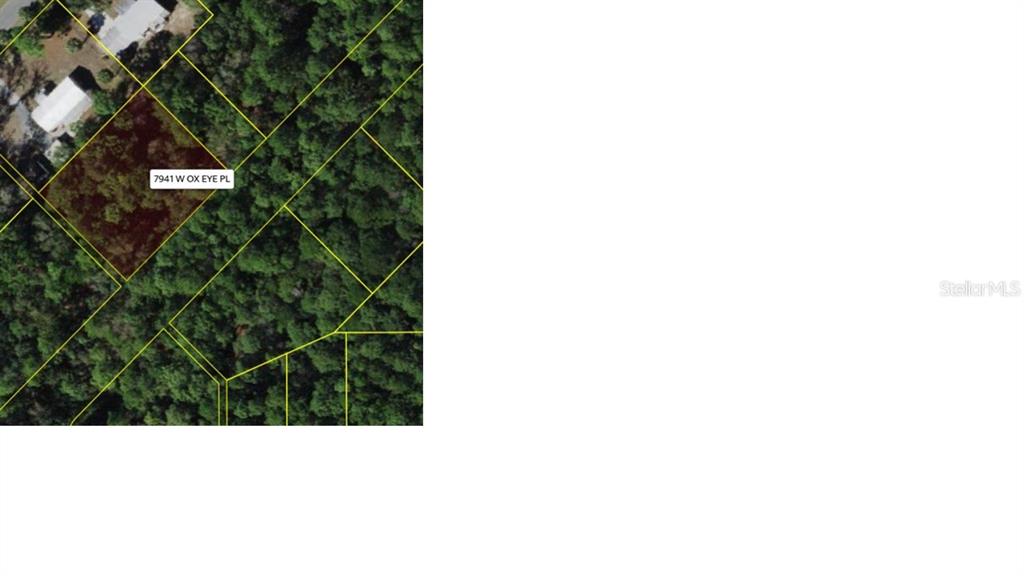 This is an aerial map showing a highlighted plot of land surrounded by trees — 7941 W OX EYE PLACE, HOMOSASSA, FL