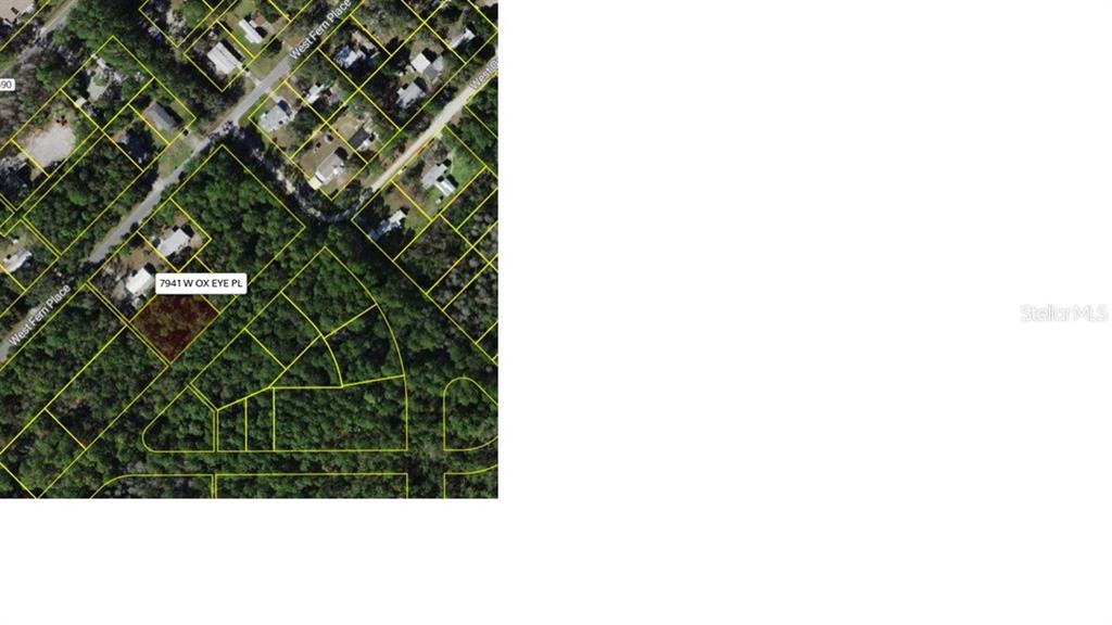 This is an aerial map showing a residential lot outlined in yellow among wooded surroundings — 7941 W OX EYE PLACE, HOMOSASSA, FL