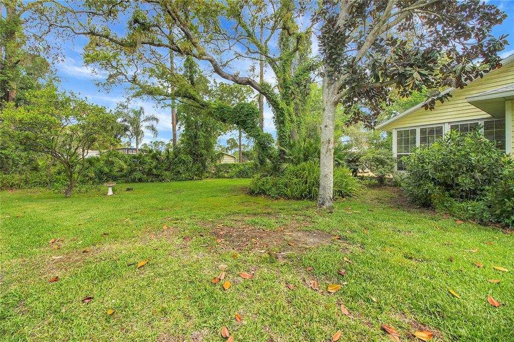 A grassy backyard features mature trees, lush landscaping, and a portion of a yellow house — 335 RIVER GLASS COURT, LEESBURG, FL