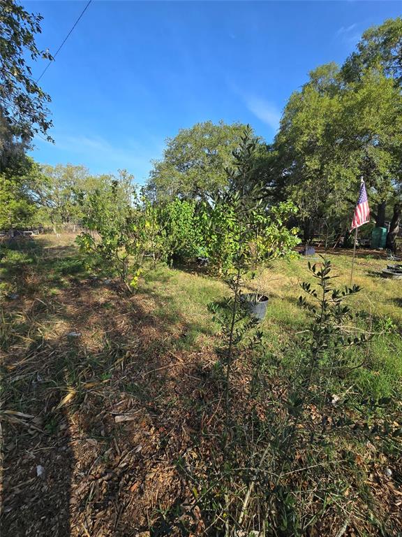 A grassy backyard features several small trees, a potted plant, and an American flag — 14515 GIDDYUP LANE, HUDSON, FL