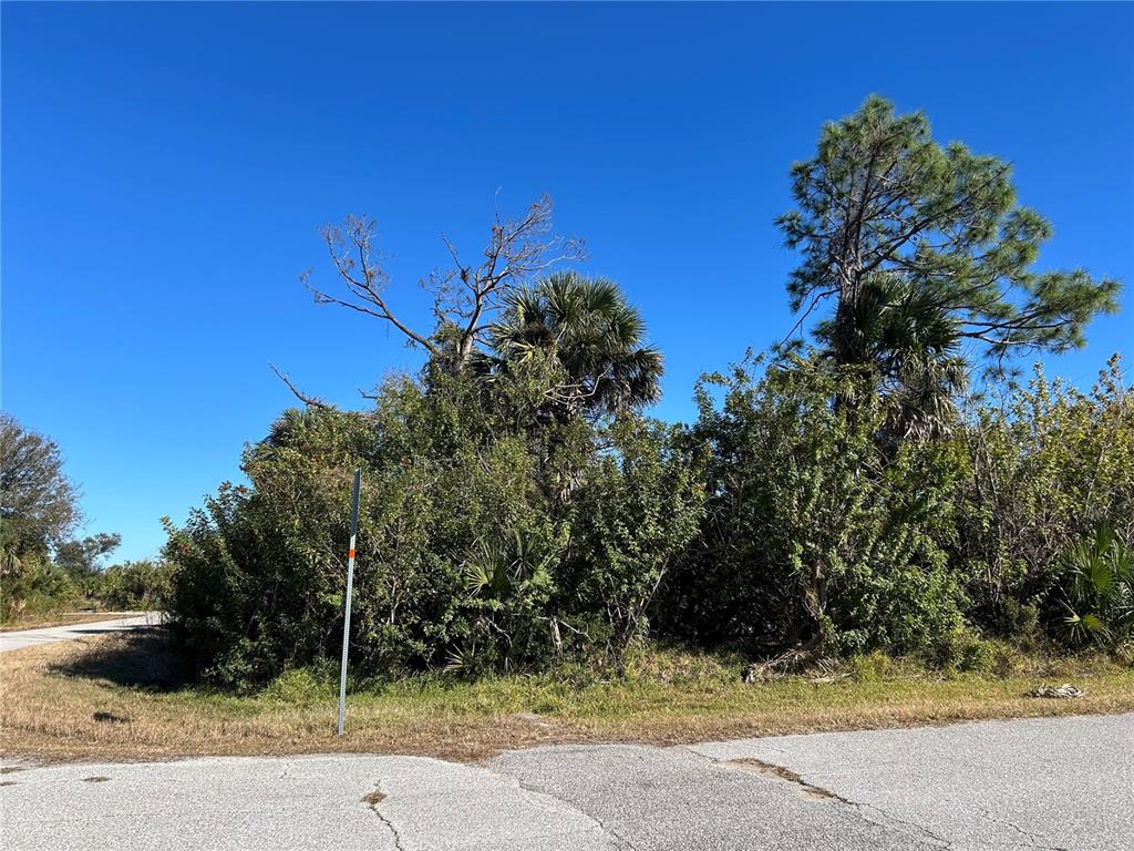 A vacant, overgrown lot with trees and shrubs sits at a paved road intersection — 12145 SURREY AVE, PORT CHARLOTTE, FL
