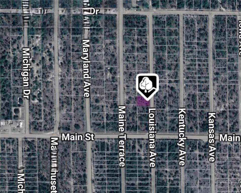 LOT 19 AND 20 LOUISIANA AVENUE