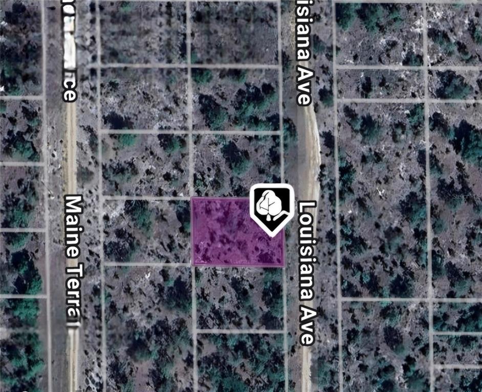 This is an aerial map showing a rectangular parcel of land highlighted in purple — LOT 19 AND 20 LOUISIANA AVENUE, HAWTHORNE, FL