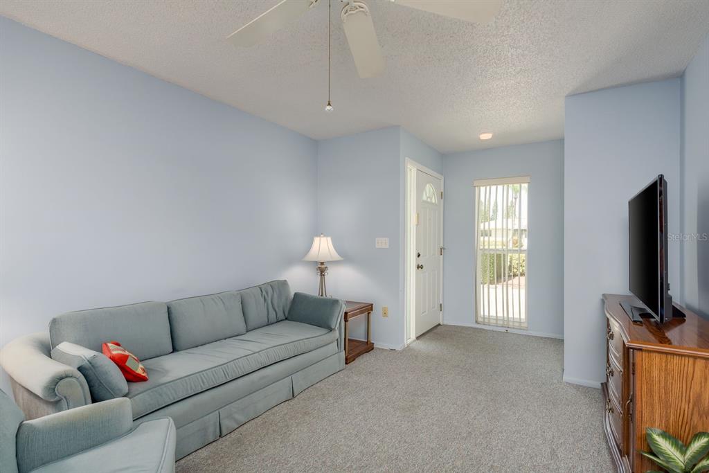A living room features light blue walls, gray carpet, a sofa, and a television console — 2738 SHERBROOKE LANE UNIT C, PALM HARBOR, FL