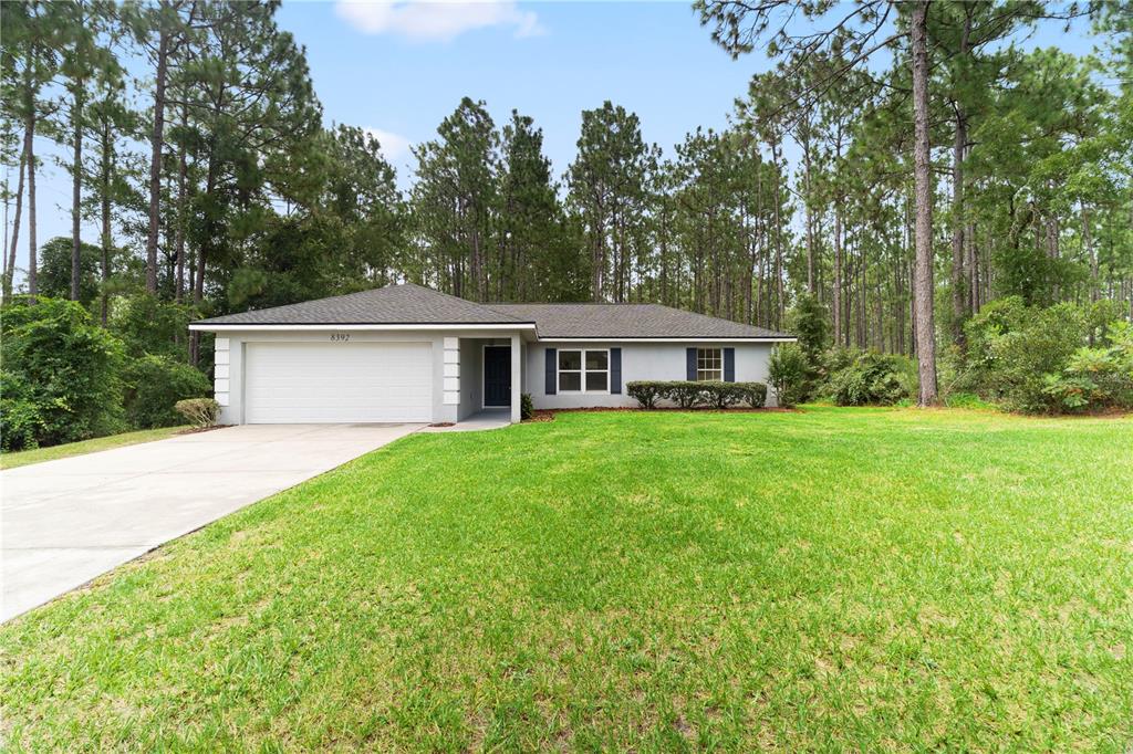An empty living room features light beige walls, wood-look flooring, a ceiling fan, and windows — 8392 SW 139TH LANE ROAD, OCALA, FL