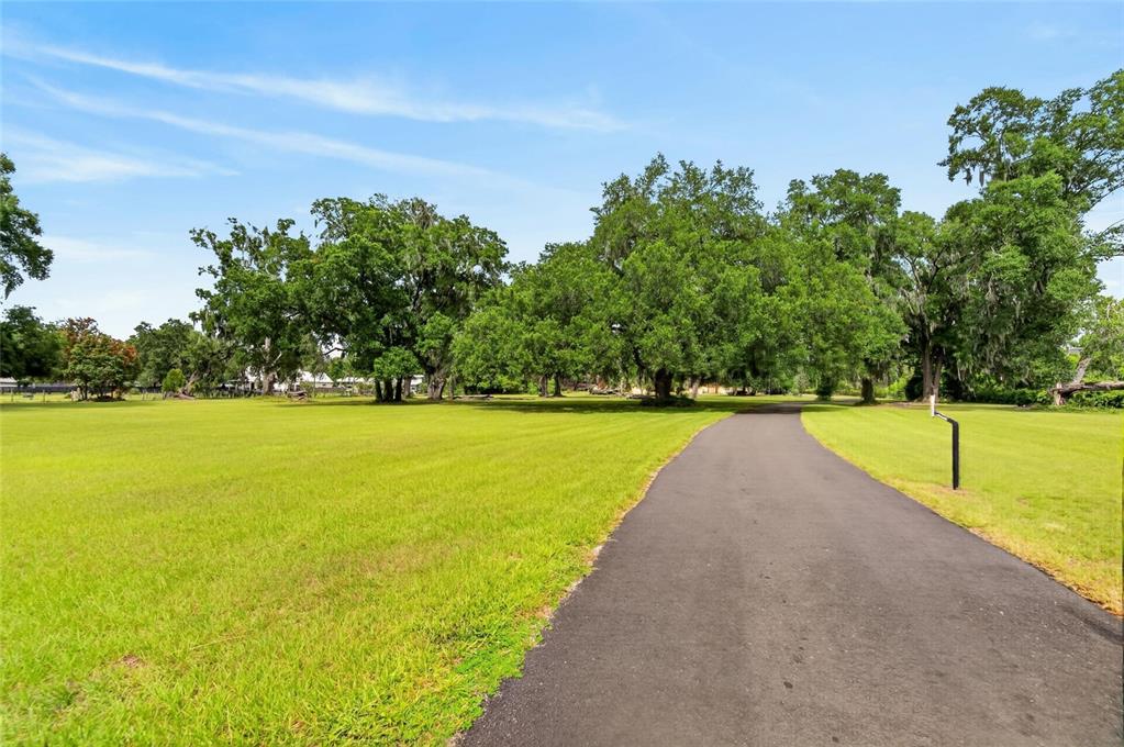 A paved driveway leads through a large, grassy yard toward mature oak trees — 4020 N WILDER ROAD, PLANT CITY, FL