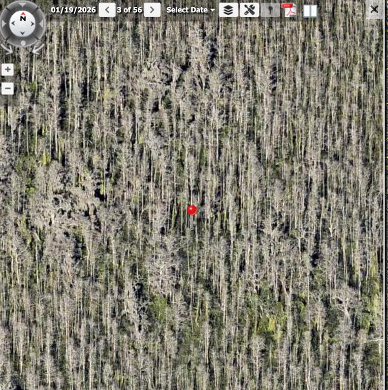 An aerial view shows a dense, wooded forest area with a red location pin — HOLOPAW GROVES ROAD Lot 99 & 100, ST CLOUD, FL