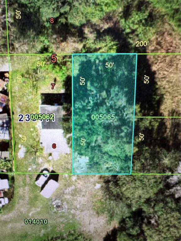 This is a map showing a rectangular parcel of land with dimensions labeled as 50 feet — 0 CAIN STREET, MULBERRY, FL