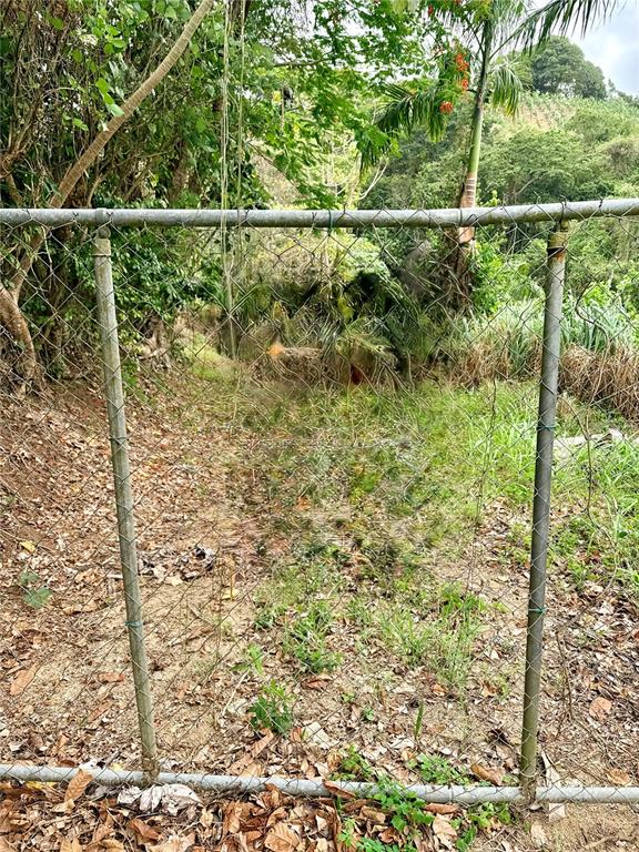 A chain-link fence stands in front of a wooded, grassy area with trees and vegetation — Km 0.9 ROUTE 759, MAUNABO, PR